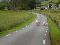 Ontsnapt.