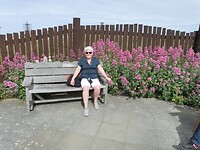 Bloem