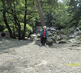 Op de foto