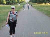 Winsor park