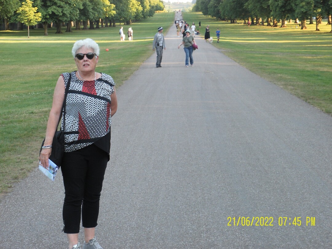 Winsor park