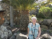 Botanische tuin