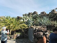 Mirador