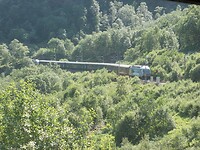 Trein