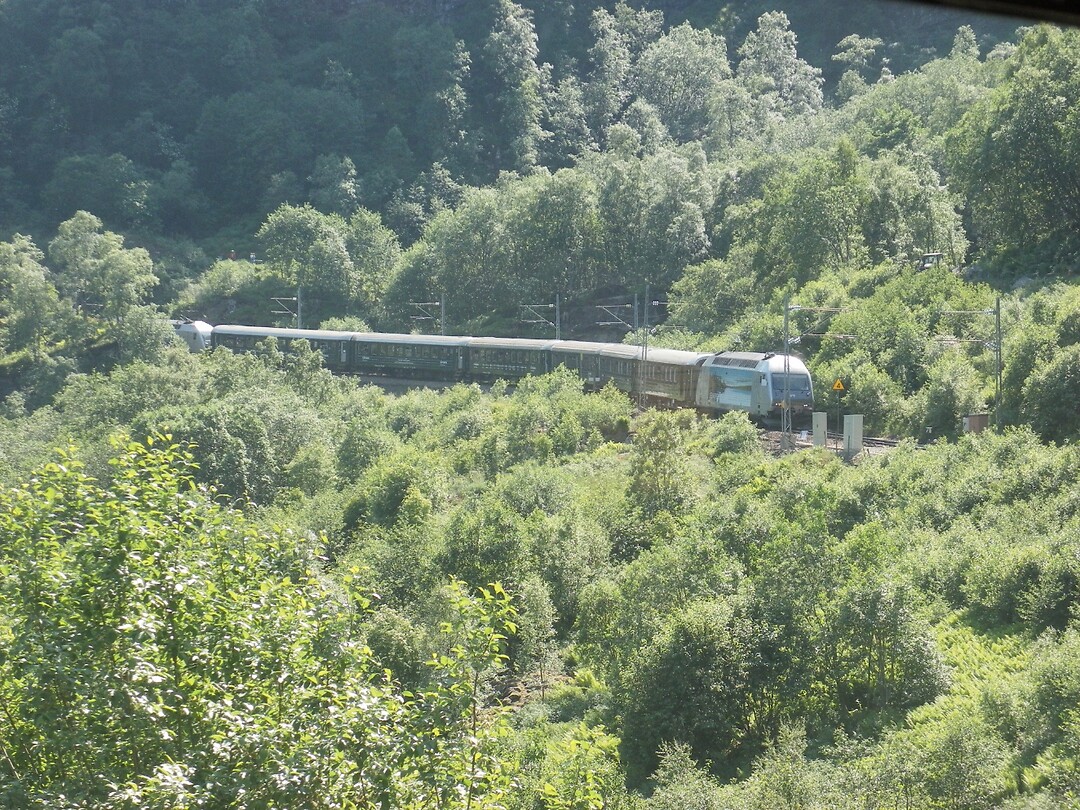 Trein