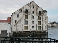 Meeuwen