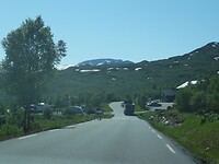 Echte eland