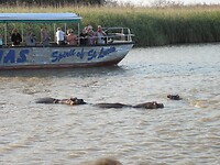 Rondvaartboot