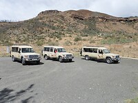 Jeeps