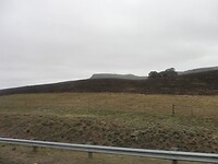 Zwart geblakerd