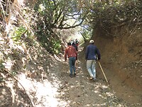 Wandeling