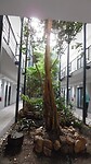 Binnentuin