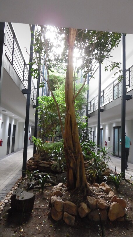 Binnentuin