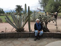 Cactussen