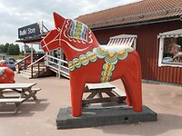 Groot Dana paard