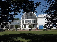 Palmhuset