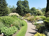 Tuin