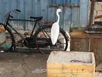 SAM_7361