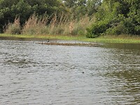 SAM_7473