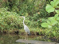 SAM_7433