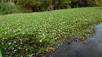 SAM_7490