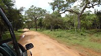 SAM_7551