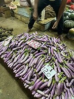 IMG_2943
