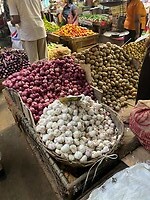 IMG_2944