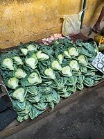 IMG_2945