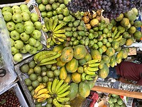 IMG_2964