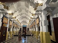 IMG_2981