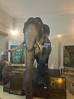 IMG_2983
