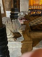 IMG_2976