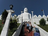 SAM_8194