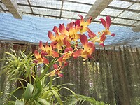SAM_8264