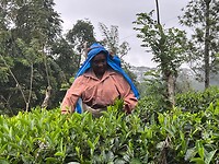 IMG_3133