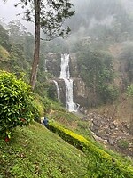 IMG_3143
