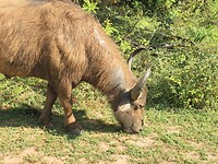 SAM_8480