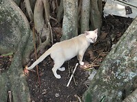 SAM_8646