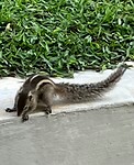 IMG_3481