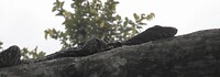 SAM_8792
