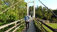 SAM_8394