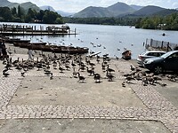 IMG_4036