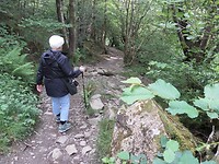 SAM_8972