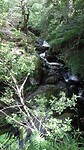 SAM_8449