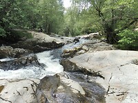 SAM_8977