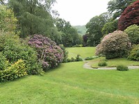 SAM_9041
