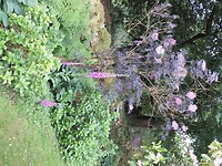 SAM_9020