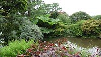 SAM_9133