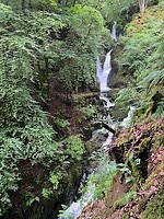 IMG_4103